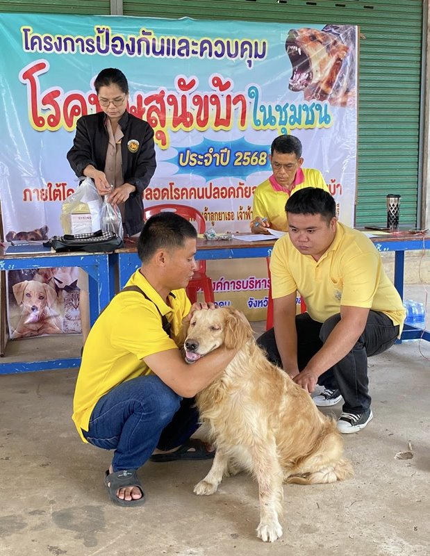 ฉีดวัคซีนหมาแมว68 2