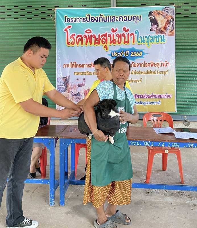 ฉีดวัคซีนหมาแมว68 3