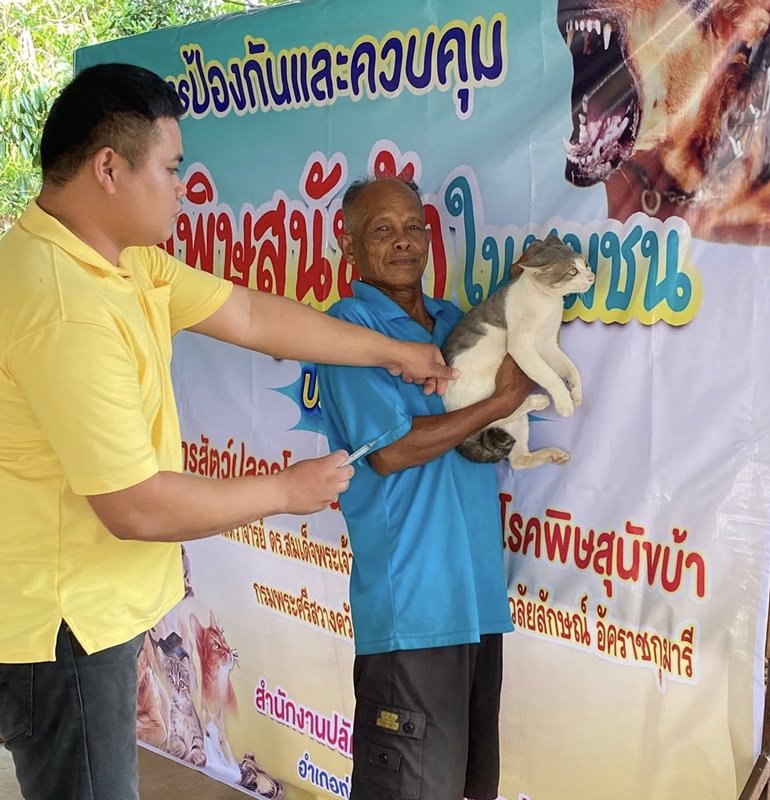 ฉีดวัคซีนหมาแมว68 4
