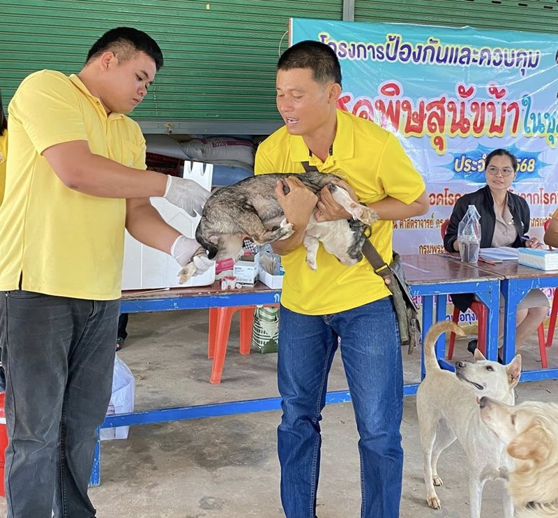 ฉีดวัคซีนหมาแมว68 6