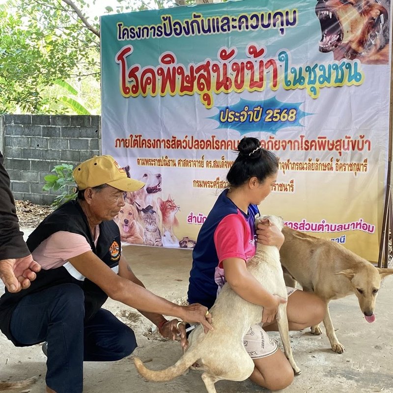 ฉีดวัคซีนหมาแมว68 8