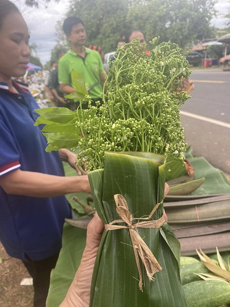 ตลาด1