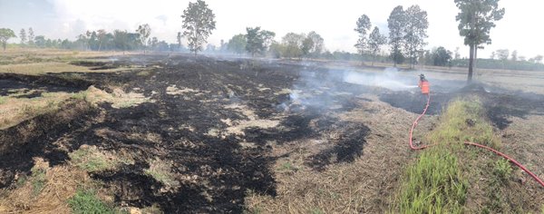 pm25 1