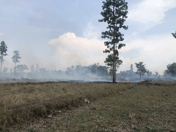 pm25 9